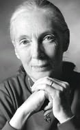 Jane Goodall