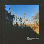 Ma Fleur [UK] by The Cinematic Orchestra: CD Cover