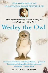 Wesley the Owl by Stacey O'Brien: Book Cover