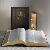 Product Image. Title: Brown Leather Dictionary