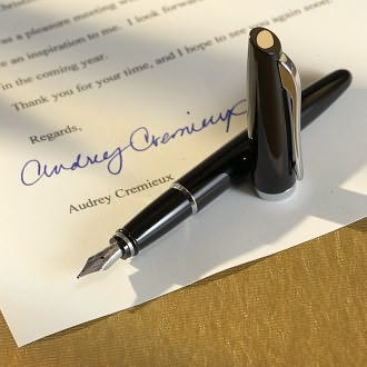 Style Resin Black Pepper Fountain Pen