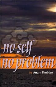 No Self No Problem by Anam Thubten: Book Cover