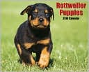 2010 Rottweiler Puppies Wall Calendar