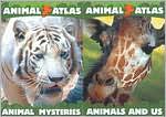 Animal B2b 2pack Mysteries