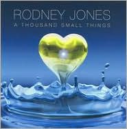 A Thousand Small Things