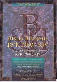 Biblia Bilingue by Broadman and Holman Publishers: Book Cover