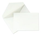 Product Image. Title: Notes Pearl White