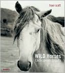 Wild Horses: Endangered Beauty