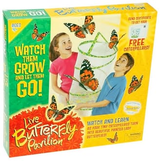 Butterfly Pavilion