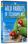 Video/DVD. Title: The Wild Parrots of Telegraph Hill