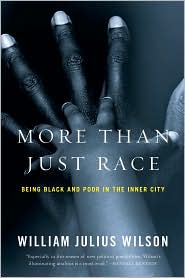 More than Just Race by William Julius Wilson: Book Cover