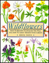 Wildflowers: How to Identify Flowers in the Wild and How to Grow Them in Your Garden- ONLY $6.99!!