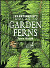 Garden Ferns