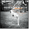 Musical Chairs by Hootie & The Blowfish: CD Cover