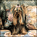 2003 Yorkshire Terriers Wall Calendar