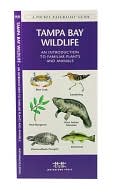 Tampa Bay Wildlife An Introduction to Familiar Species of Marine Plan