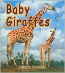 Baby Giraffes