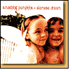 Siamese Dream by Smashing Pumpkins: Vinyl LP Cover