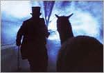 My Morning Jacket: Okonokos, The Concert