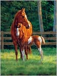 Product Image. Title: Beautiful Horses - 200 piece puzzle