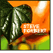 Evergreen Boy by Steve Forbert: CD Cover