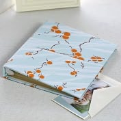 Product Image. Title: 4x6 Photo Binder, Mandarin