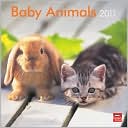 2011 Baby Animals Square Wall Calendar