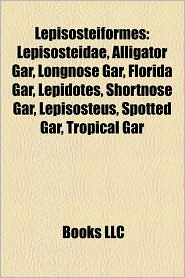 Lepisosteiformes: Lepisosteidae, Alliga...