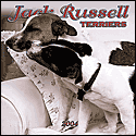 2004 Jack Russell Terriers Wall Calendar