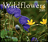 Wildflowers 2005