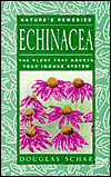 Echinacea: The Plant That Boosts Your Immune System
