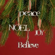 Product Image. Title: Silver Message Ornament Set