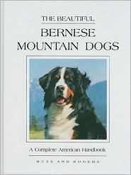 The Beautiful Bernese Mountain Dog