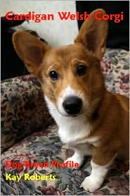 Cardigan Welsh Corgi Dog Breed Profile