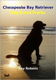 Chesapeake Bay Retriever Dog Breed Profile