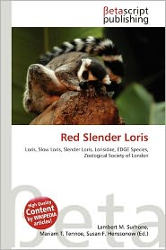 Red Slender Loris