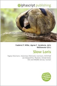 Slow Loris