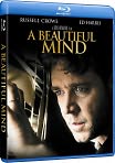 Video/DVD. Title: A Beautiful Mind