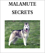 Malamute Secrets: How to Raise Happy and Healthy Alaskan Malamute Dogs