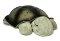 Product Image. Title: Twilight Turtle