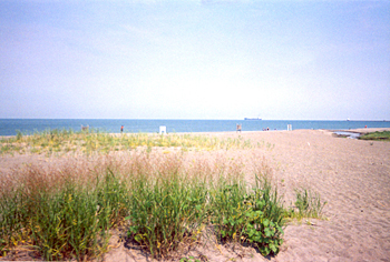 15-Conneaut, Lake Shore Park